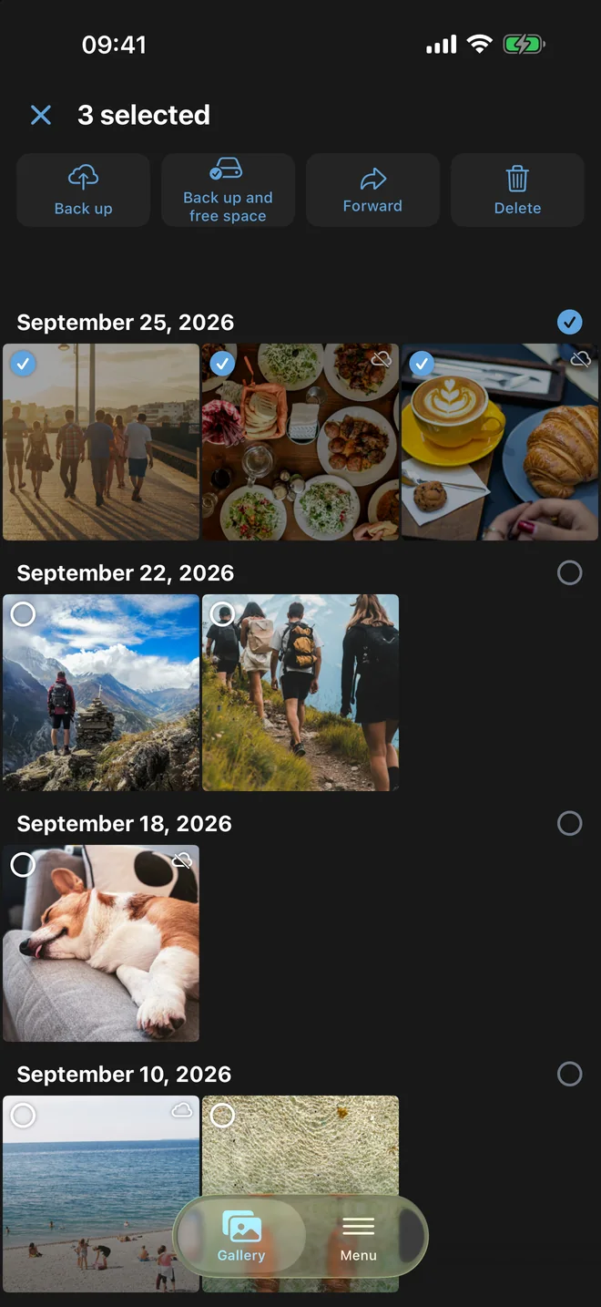 Three photos selected, with Back up, Back up and free space, Forward and Delete above them