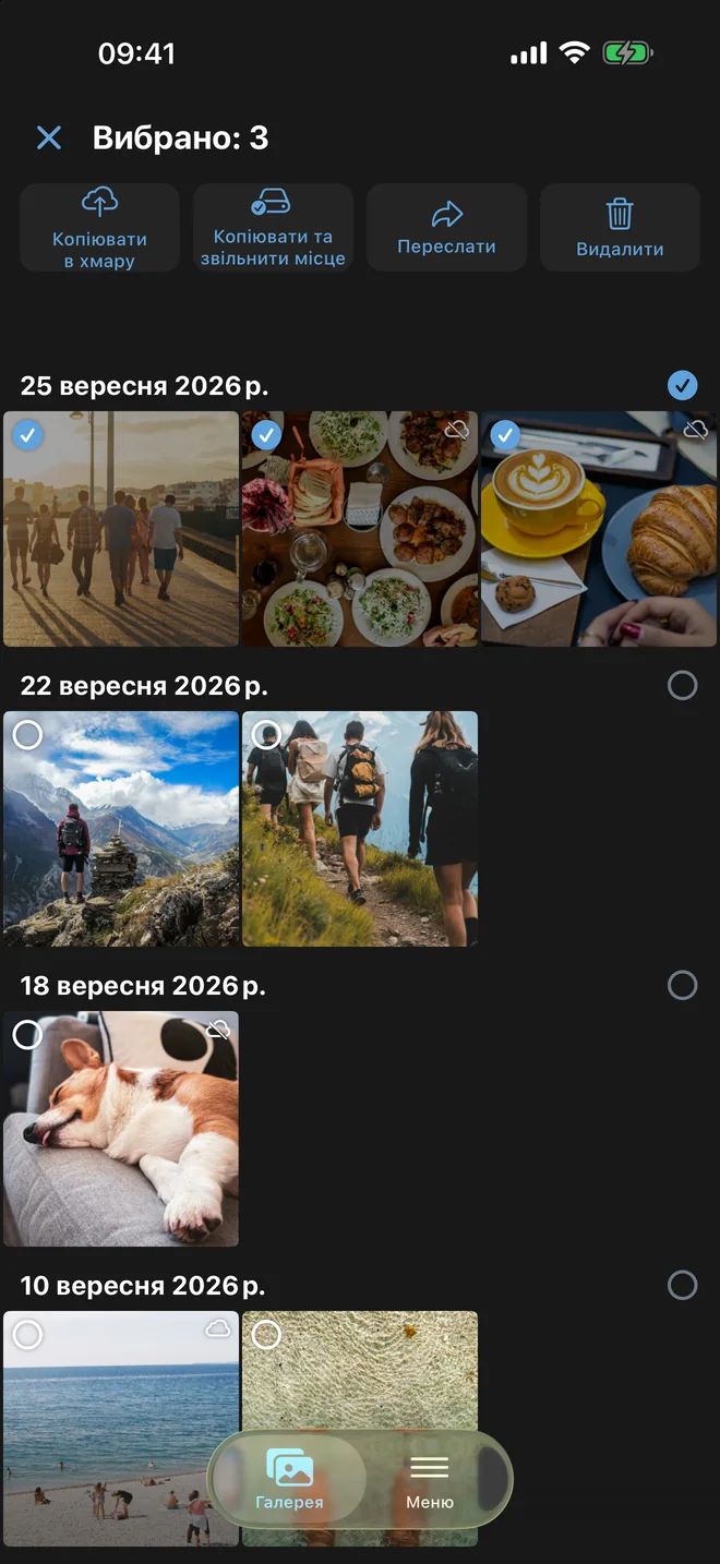 Виділено три фото, над ними кнопки копіювання, копіювання зі звільненням місця, пересилання й видалення
